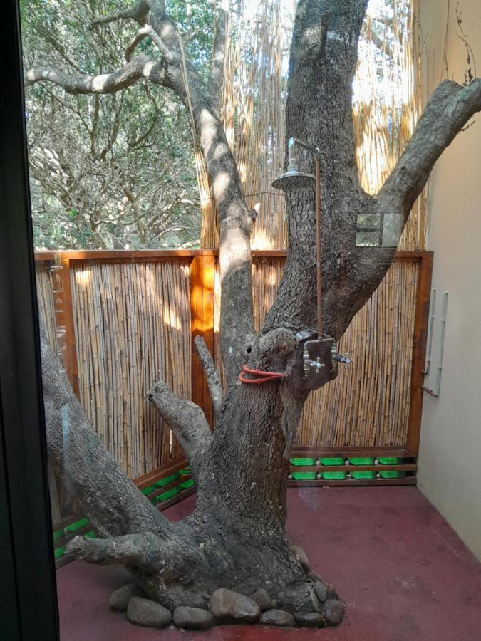 Kosi Bay Casitas Villa Manguzi Dış mekan fotoğraf